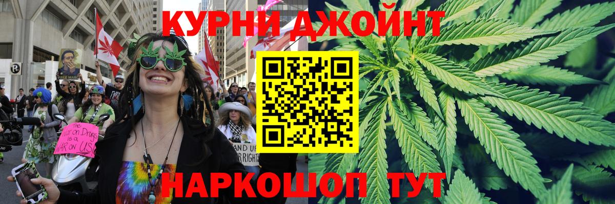 Канабис сатива  Вход с VPN  Канабис AK-47  Каннабис White Widow  Луга  Бошки марихуана Ganja 